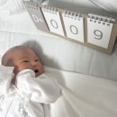 (주)푸른잎산후조리원 | 마사지 맛집!! 송파 위례 푸른잎산후조리원 13박14일 후기