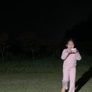 솔밭178 네이버블로그