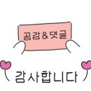 솔라이트플라워 이미지