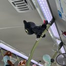 정이든 스테이 | [부산 범일역] 내돈내산 | 신축 | 3만원대 가성비숙소 | 정이든스테이 후기