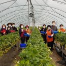 동읍농협 이미지