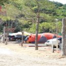 하오재캠핑장 이미지