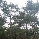 관음사 둘레길 화장실 Daum카페