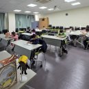 일월도서관 | ​🎄 버려질 위기의 책, 크리스마스 트리북으로 빛나다! (일월도서관 2회차 수업)