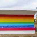 무지개가 피어나는 이미지