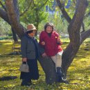 금밭 농장 이미지