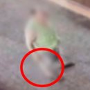 제기39 이미지