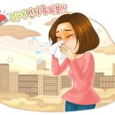 봄날노래연습장 네이버블로그
