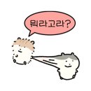 강창구 진순대 미사센텀비즈점 이미지