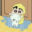 남원태권도장 | 1조 2개 8인치 300W 노래방 관광버스 댄스학원 공연 태권도장 주점 크로스핏 군산 익산 전주 음향기기...