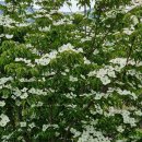 제주 자락 이미지