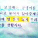 입병치료하고왔는데요/ㅂ/ 이미지