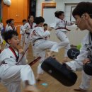 강성장태권도 이미지