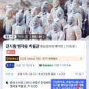 시안식당 | 중국 시안 병마용 자유여행후기! 택시 지하철 대중교통 입장권 예매 한국어 오디오 가이드 정보