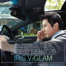 틴트리 이미지