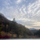 포레스트 리솜 이미지