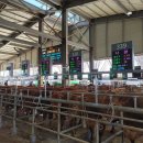 영주축산업협동조합 이미지