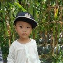 해나농장 이미지