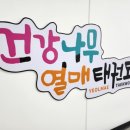 도남 아이위너 태권도장 | 국우동 태권도 유치부 초등부 믿고 보낼 수 있는 건강나무 열매태권도