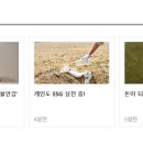 엘브이엠에이치