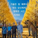 합성사진 만들기와 앨범 이미지