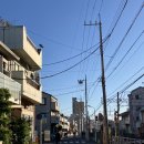 성은약국 | 가을 도쿄 이야기, 도쿄 EP.3