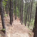 화천파라호수달길(한국수달연구센터~한국수달연구센터) 이미지