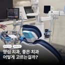 수원치과 잘하는 곳, 양심있게 진료하는 치과 추천 세미나 후기