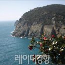 꽃의편지 이미지