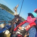 쭈꾸미스타 이미지