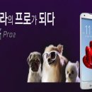 나의 반려견 이미지