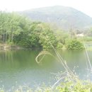 소월1리 이미지