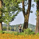 나도 디지털 카메라(DSLR) 사진 작가 이미지