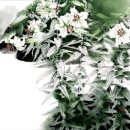 청주예술의전당 소2전시실 이미지