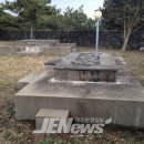 표선리-25 이미지