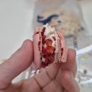 블룸오아낫