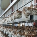 이송농장 이미지