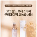 코코린느 이미지