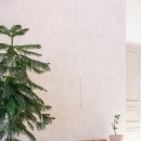 록산 | 부산강서구 대형카페 아이랑 가볼만한곳 카페 록산 다녀온 후기 및 사진기록