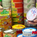 청사참치 이미지