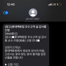 콩두 점점
