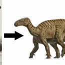 데이노니쿠스 이미지