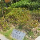 읍성작은도서관 이미지