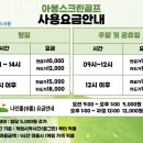 아봉스크린골프