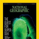 Memories On A Warm Night :: Trip To Jazz 이미지