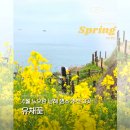 꽃물 공원 | 4월 내내 추천 국내여행지 남해의 유채꽃 명소 :: 두모마을 파라다랑스 다랭이마을 나루터휴게소