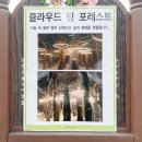 스모그클라우드 이미지