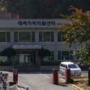 태백지역자활센터 이미지