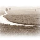 정자문화 이미지