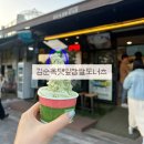 담양 여행 맛집 | 죽녹원 김순옥댓잎찹쌀도너츠 아이스크림 후기